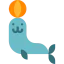 Seal icon 64x64