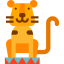 Tiger Ikona 64x64