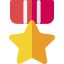 Condecoration icon 64x64