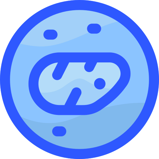 Steak icon