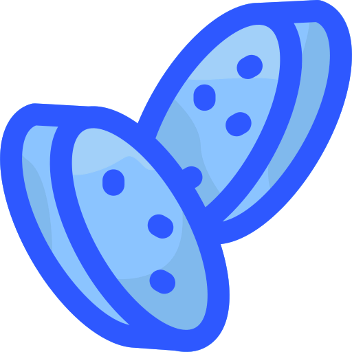 Garlic icon