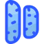 Biscotti icon 64x64