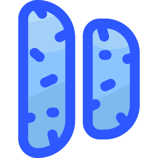 Biscotti icon