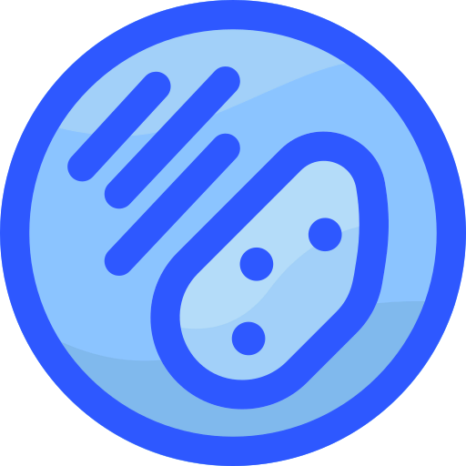 Steak icon