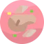 Steak icon 64x64
