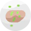 Steak icon 64x64