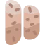 Biscotti icon 64x64