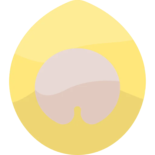 Dumpling icon