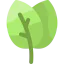 Leaves icon 64x64