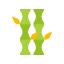 Bamboo icon 64x64