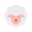 Sheep icon 64x64