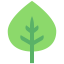 Leaf icon 64x64
