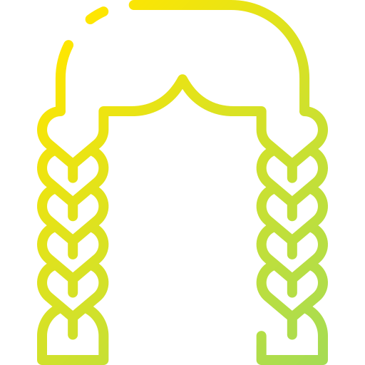 Braid icon