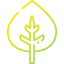 Leaf icon 64x64