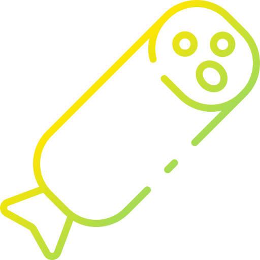 Salami icon