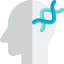 Head icon 64x64