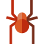 Spider icon 64x64