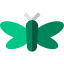 Moth icon 64x64