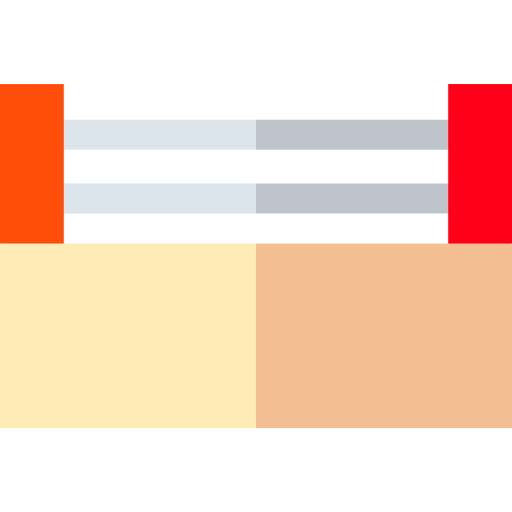 Ring icon