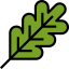 Branch icon 64x64