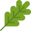 Branch Ikona 64x64