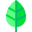 Leaf icon 64x64