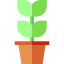 Plant icon 64x64