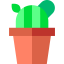 Cactus icon 64x64
