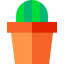Cactus icon 64x64