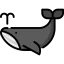 Whale icon 64x64