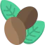 Coffee beans icon 64x64