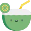 Coconut icon 64x64
