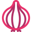 Onion icon 64x64