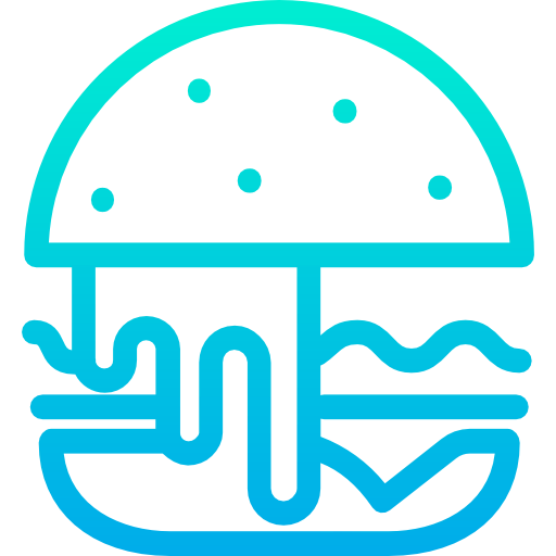 Burger icon