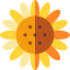Sunflower icon 64x64