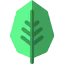 Leaf icon 64x64
