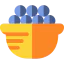 Berries icon 64x64