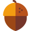 Acorn icon 64x64
