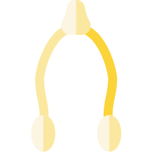 Wishbone icon