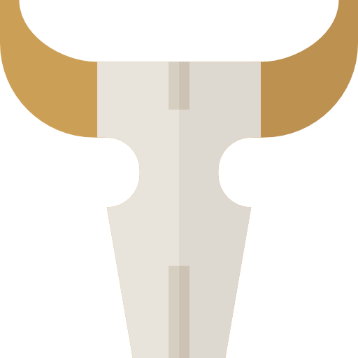 Skull icon