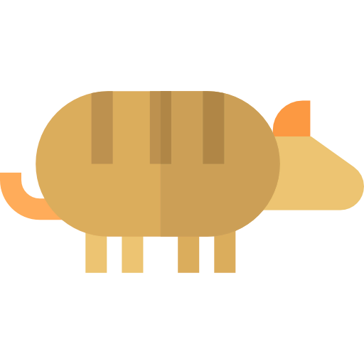 Armadillo icon