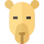 Camel icon 64x64
