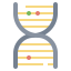 Dna structure icon 64x64