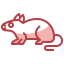 Pets アイコン 64x64