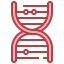 Dna structure icon 64x64