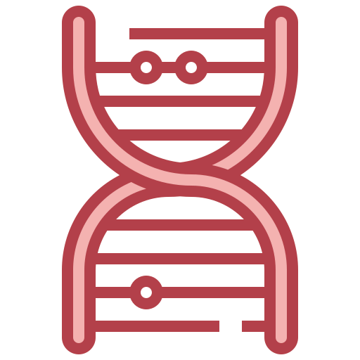 Dna structure icon