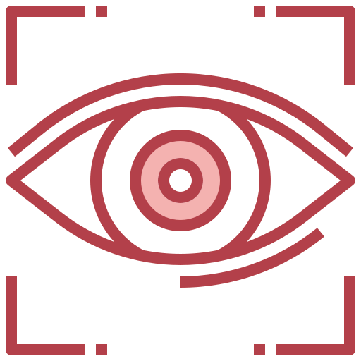 Observation icon