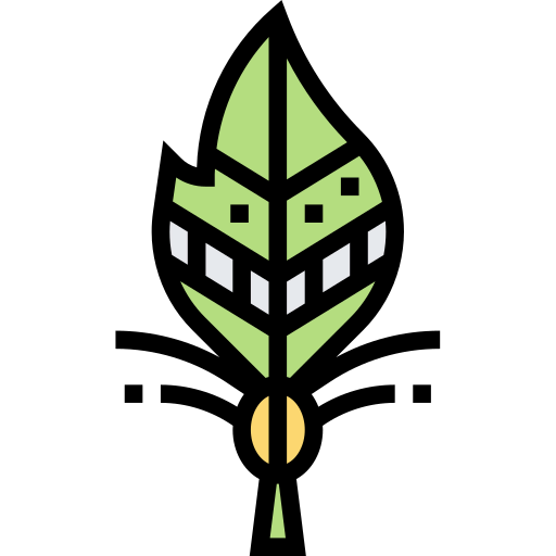 Feather icon