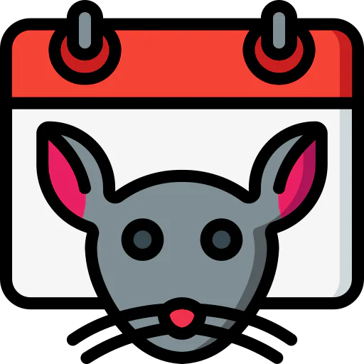 Year icon