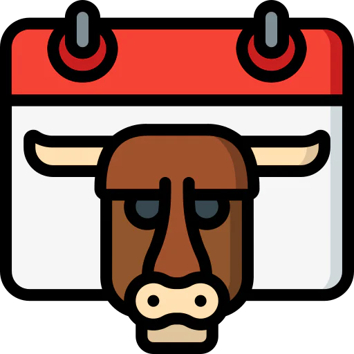 Year icon
